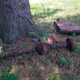 Image for article titled The City Wants My Cars Gone Or Fixed. Here's Where I Stand With Just Two Weeks Left